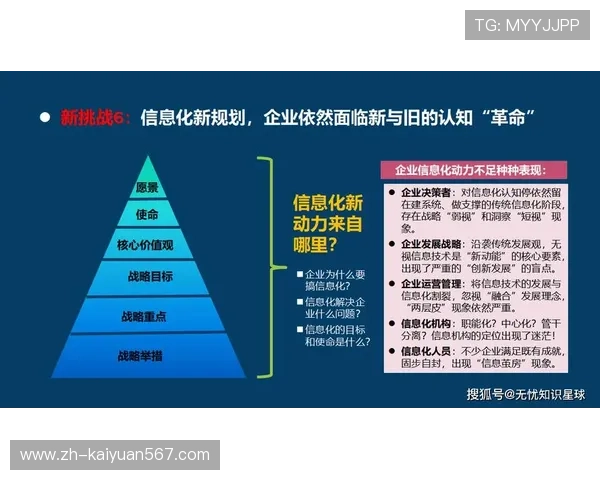 开云集团的数字化转型之路与线上线下融合的新趋势